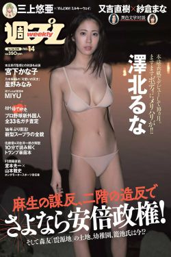 反恐特警组