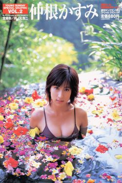 疯狂元素城